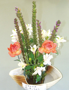 sphoto5.jpg